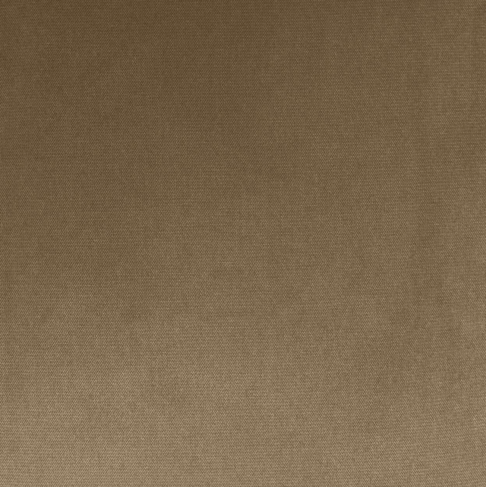 Bruno Velvet Pillow