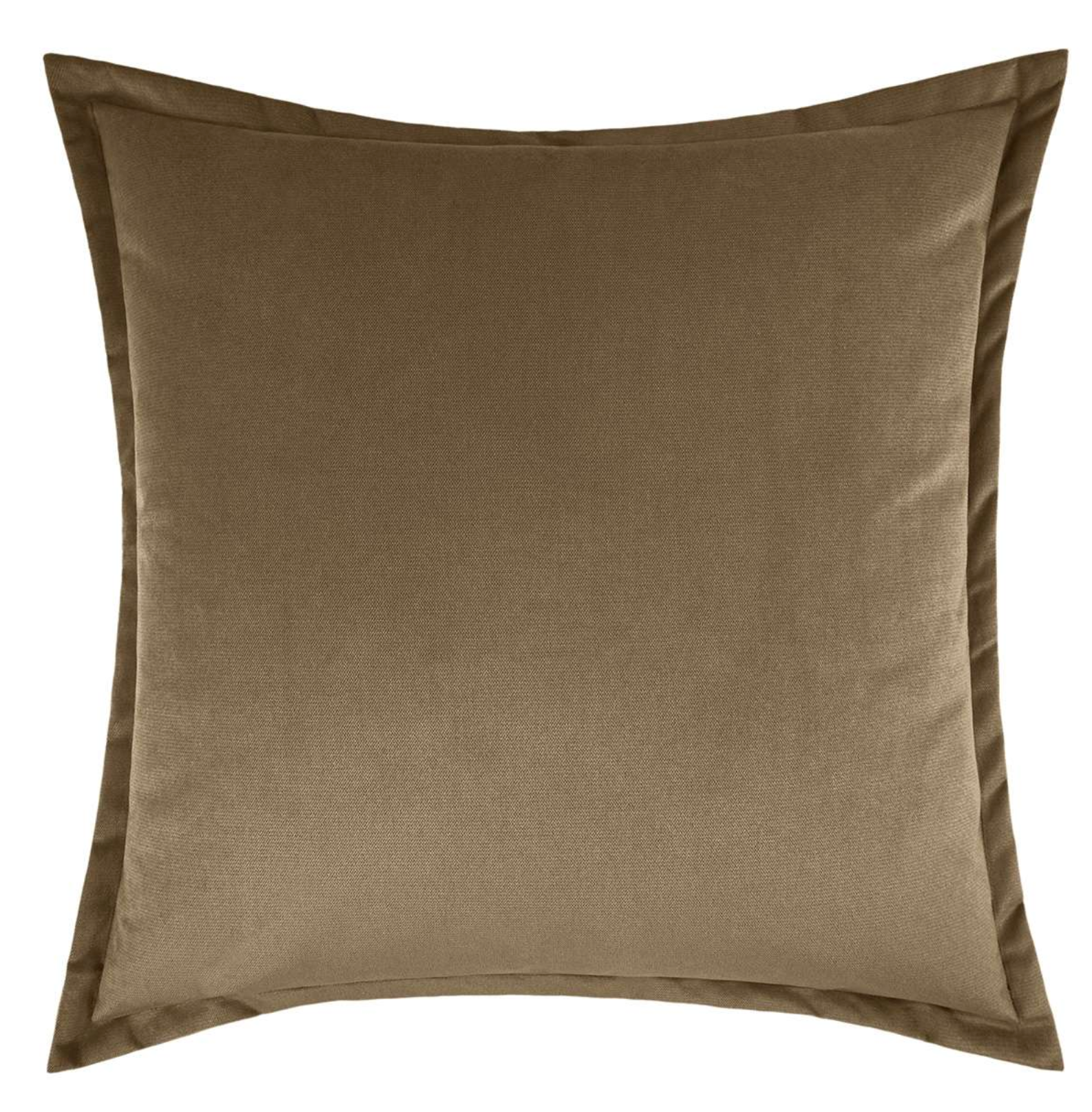 Bruno Velvet Pillow