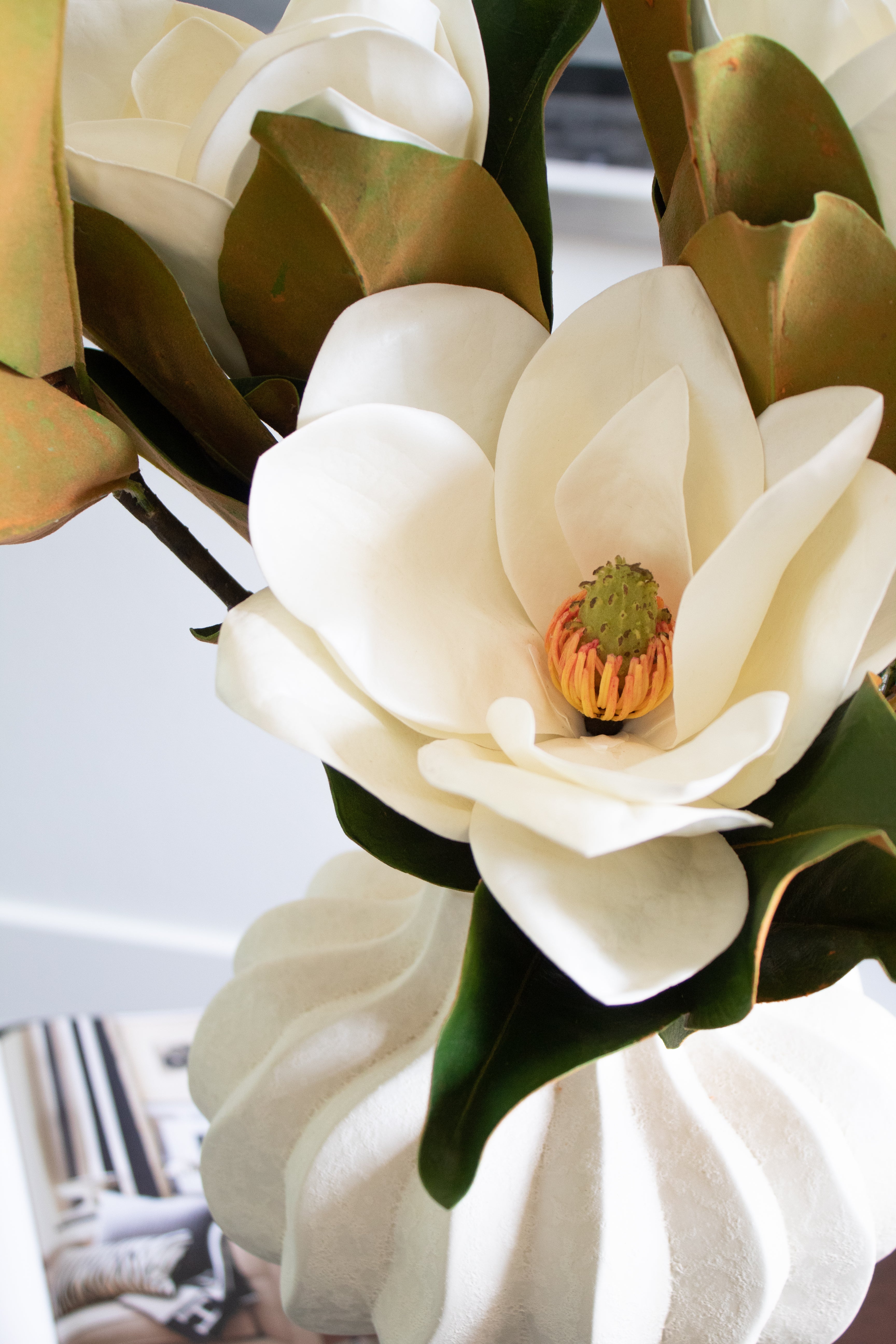 Magnolia Flower Branch