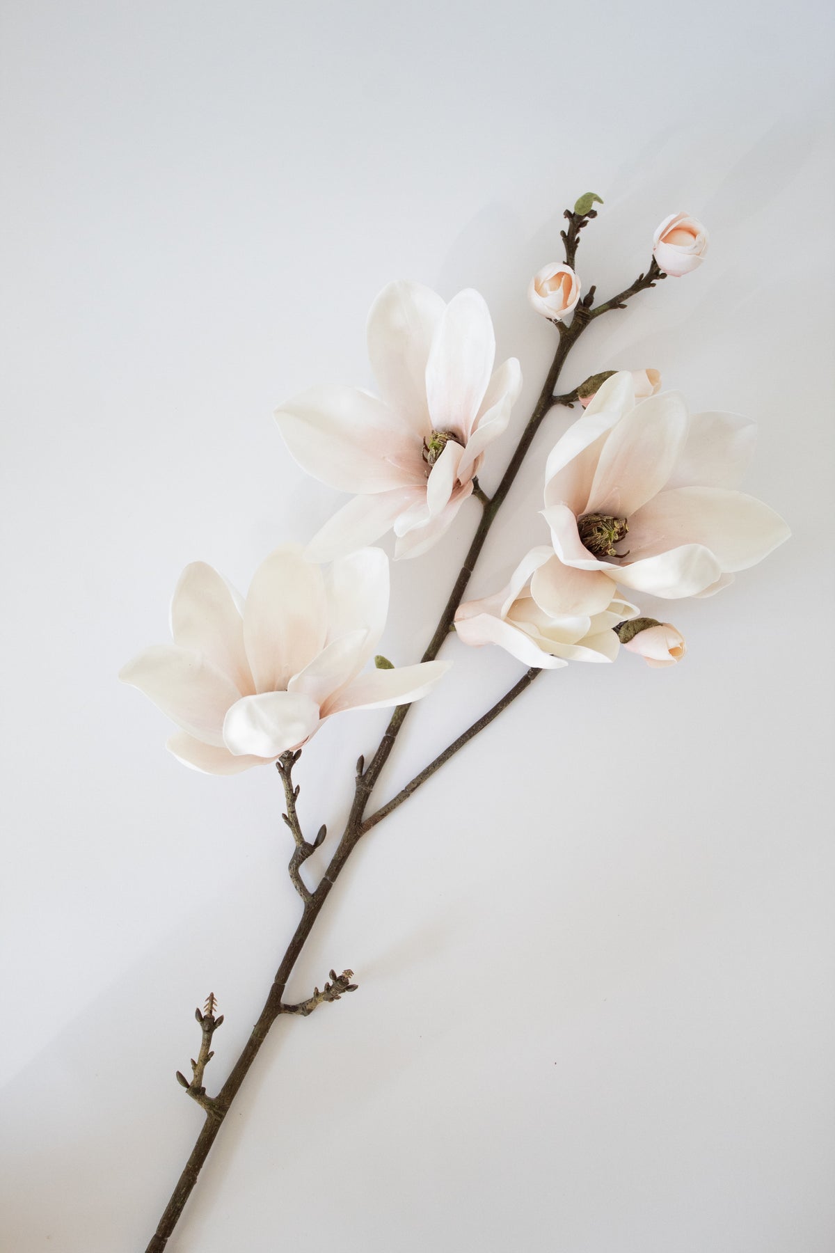 Faux Magnolia Saucer Stem