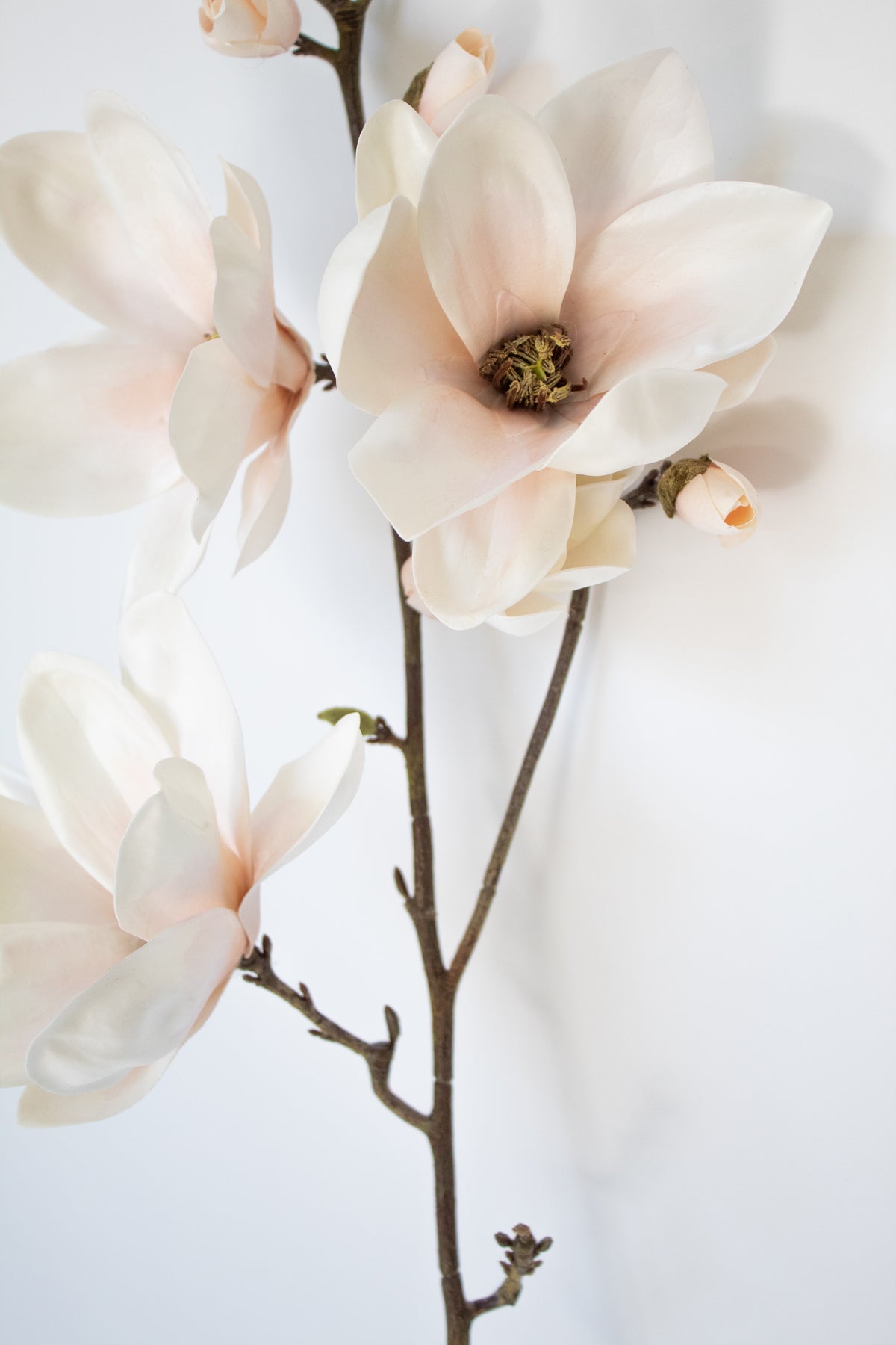 Faux Magnolia Saucer Stem