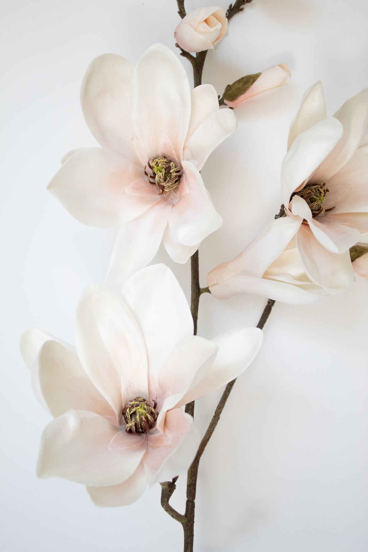 Faux Magnolia Saucer Stem