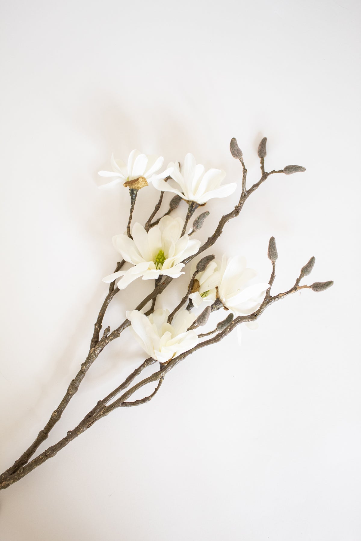 Cream White Magnolia Stem