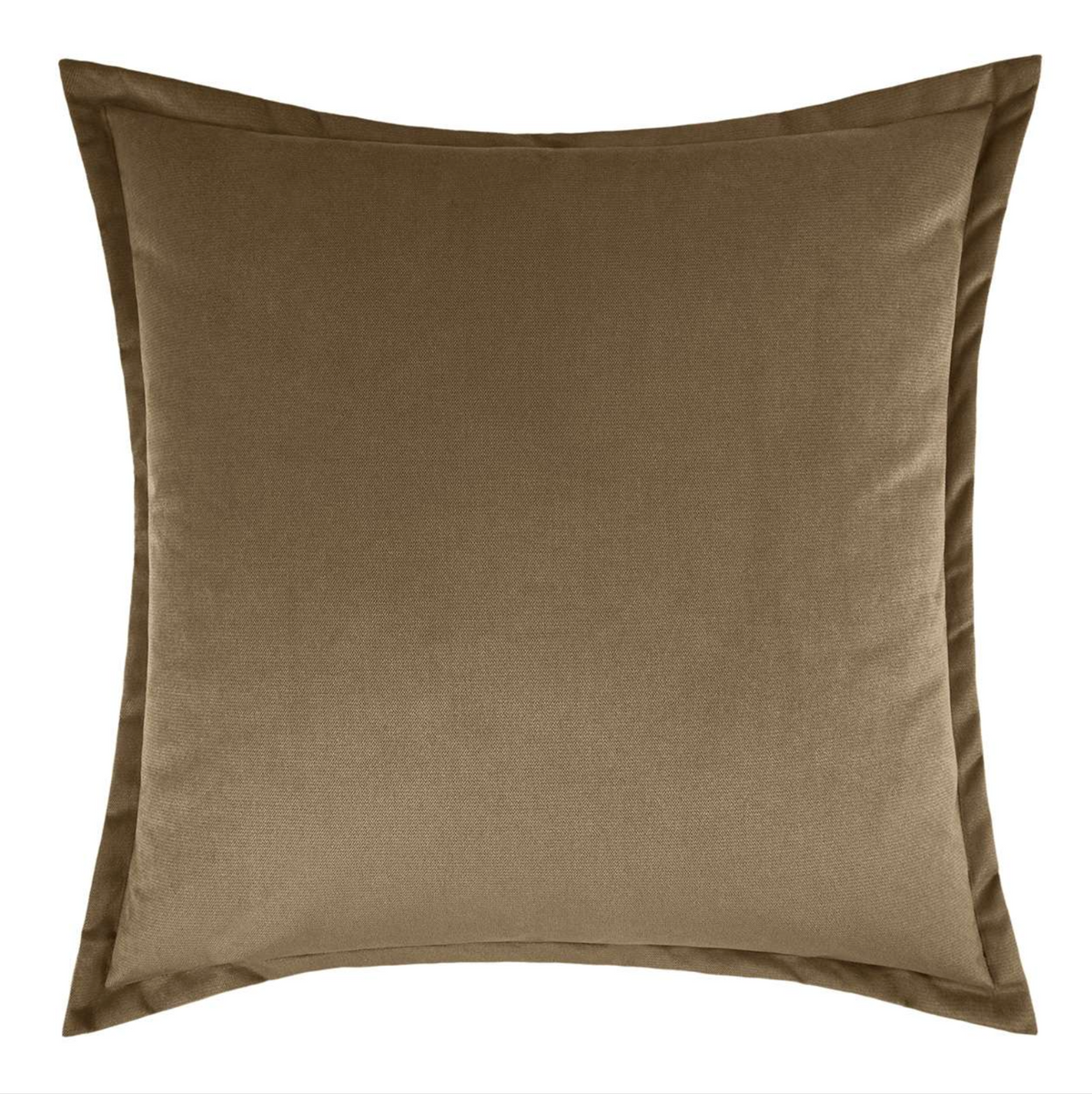 Bruno Velvet Pillow